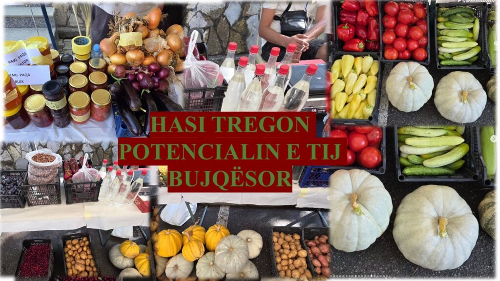 HASI TREGON POTENCIALIN E TIJ BUJQËSOR: NGA PRODHIMI VENDAS TE NJË MUNDËSI PËR ZHVILLIM